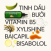 duong toc tinh dau buoi